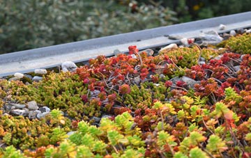 the cost of Brockley Corner green roof installation