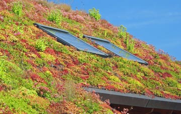 Brockley Corner living roof systems
