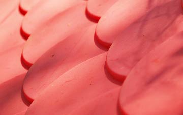 Brockley Corner plastic roof costs