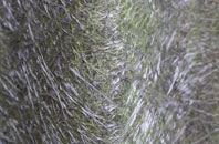 Brockley Corner fibreglass roof work